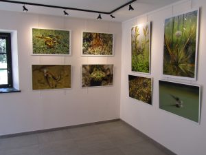 exposition sortie neuvy
