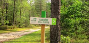 balade tourbière