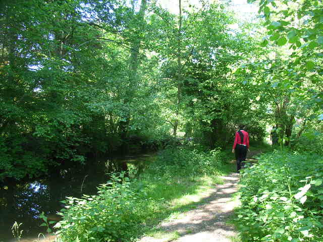 Balade au bord de l'eau, rivière Le Barangeon
