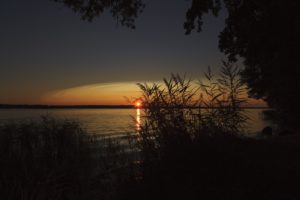 les nocturnes de la nature