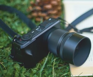 Photographie de la faune et de la flore