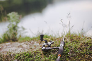 Canne à pêche posée dans l'herbe