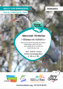 Affiche oiseaux et nichoirs 17 février