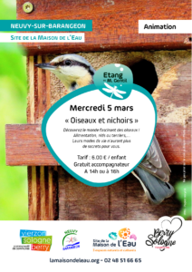 Affiche oiseaux et nichoirs 5 mars